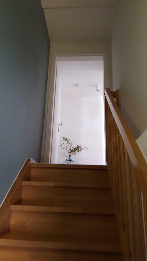 Haus Zum Wilden Manne